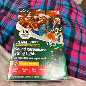 Sound Responsive String Lights